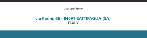 Calculate the route on Google Maps